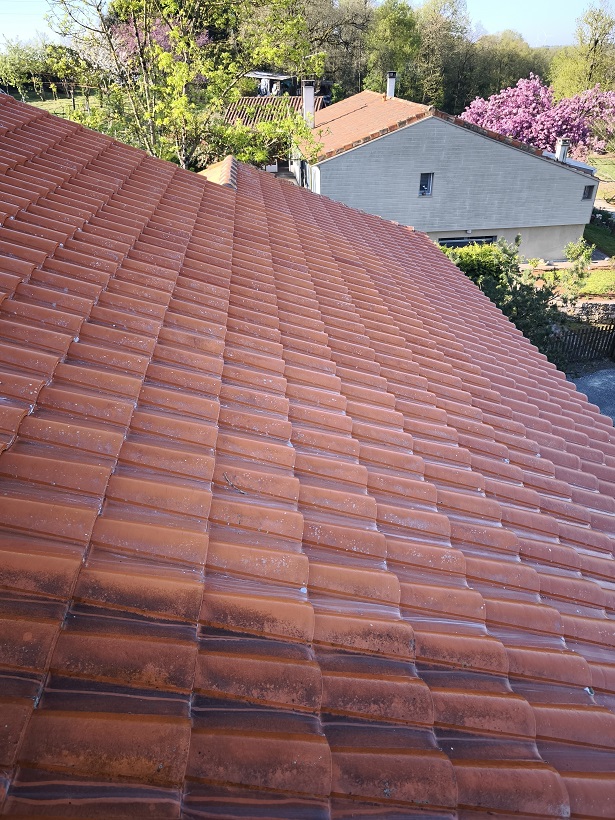 Démoussage/Nettoyage - Chantier BS COUVERTURE Ruffec Nettoyage toiture ruffec 16700 5 - Démoussage/Nettoyage à Ruffec